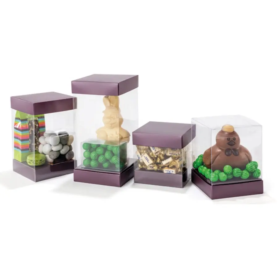 Boite moulage violette